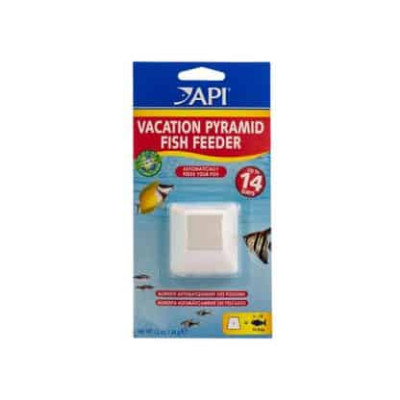 Api Vacation Pyramid 14 Days