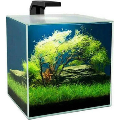 Ciano Cube 15 Clear...