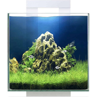 Ciano Nexus Pure 15...