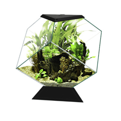 CIANO Nexus Pure Diamond...