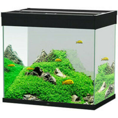 Ciano Emotions Pro 60...