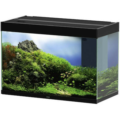 Ciano Emotions Pro 80...