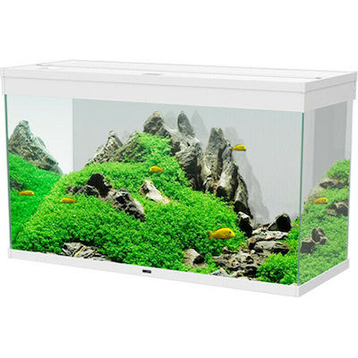 Ciano Emotions Pro 100...