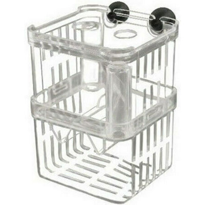 Sun-Sun Γεννήστρα Ψαριών...