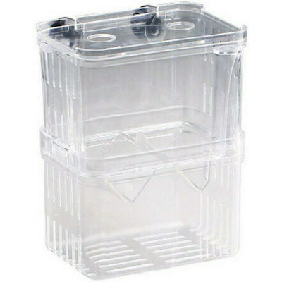 Sun-Sun Γεννήστρα Ψαριών...